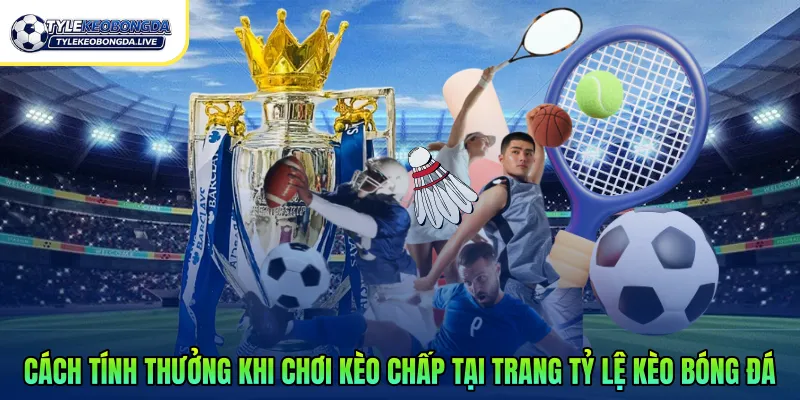 Cách tính thưởng khi chơi kèo chấp tại trang tỷ lệ kèo bóng đá