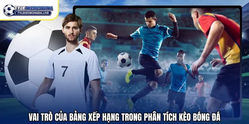 Vai trò của bảng xếp hạng trong phân tích kèo bóng đá