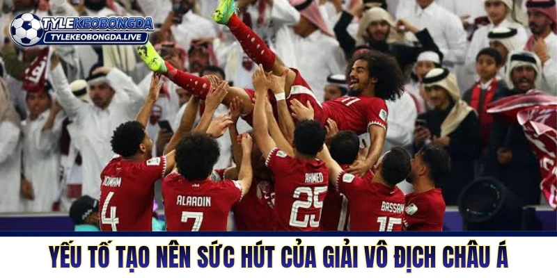 Asian Cup là giải đấu cấp quốc gia lớn nhất châu Á