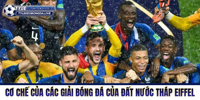 Bóng Đá Pháp - Sức Mạnh Và Bản Lĩnh Của Một Quân Vương 6 Cơ chế của các giải bóng của đất nước tháp Eiffel