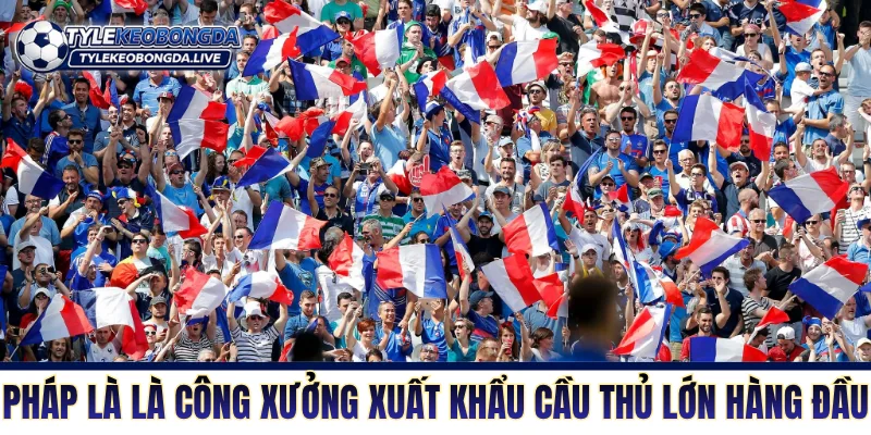 Bóng Đá Pháp - Sức Mạnh Và Bản Lĩnh Của Một Quân Vương 8 Xứ lục lăng là công xưởng xuất khẩu cầu thủ lớn hàng đầu thế giới