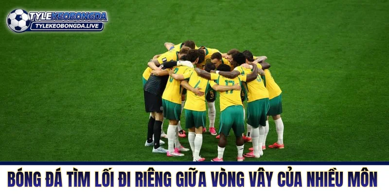 Bóng đá Úc tìm lối đi riêng giữa vòng vây của nhiều môn khác