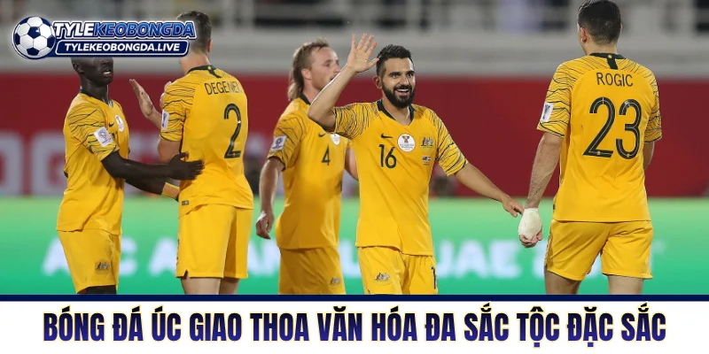 Bóng đá Úc giao thoa văn hóa đa sắc tộc vô cùng đặc sắc
