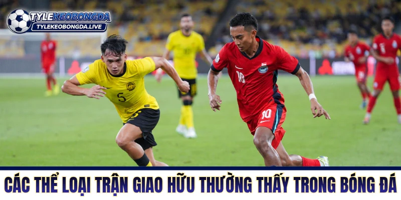 Giao Hữu - Cơ Hội Thử Nghiệm Nhân Sự Và Rà Soát Đội Hình 68 Các thể loại trận biểu diễn thường thấy trong bóng đá