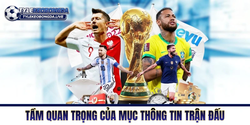 Chi Tiết Trận Đấu - Cung Cấp Mọi Dữ Liệu Chính Xác 24/7 3 Tầm quan trọng của mục thông tin trận đấu