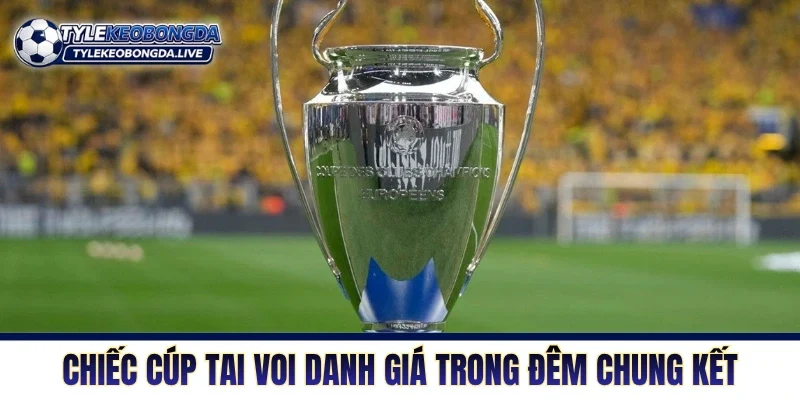 Cup C1 Châu Âu - Thánh Địa Của Những Nhà Vua Thực Thụ! 8 Chiếc cúp tai voi danh giá trong đêm chung kết