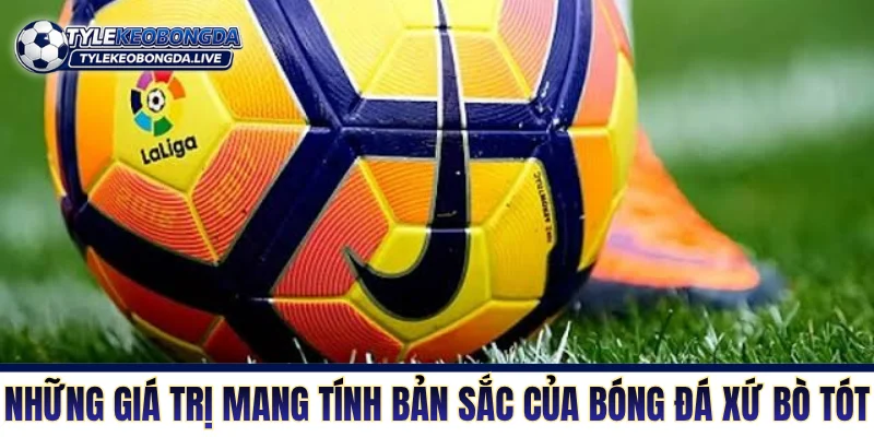 La Liga: Cuộc Chiến Sinh Tồn Khắc Nghiệt Bậc Nhất Xứ Bò Tót 7 Những giá trị mang tính bản sắc của bóng đá xứ bò tót
