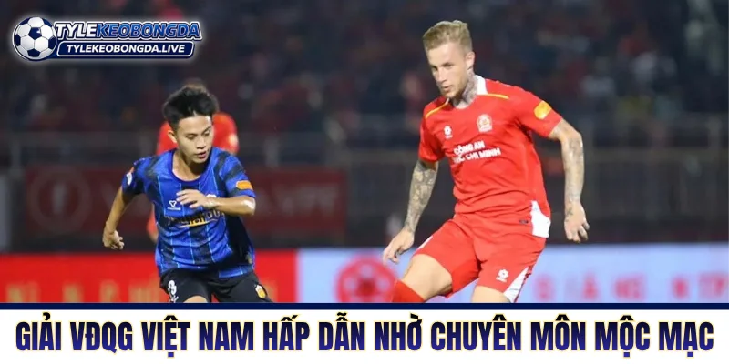 Giải VĐQG Việt Nam hấp dẫn nhờ chuyên môn mộc mạc