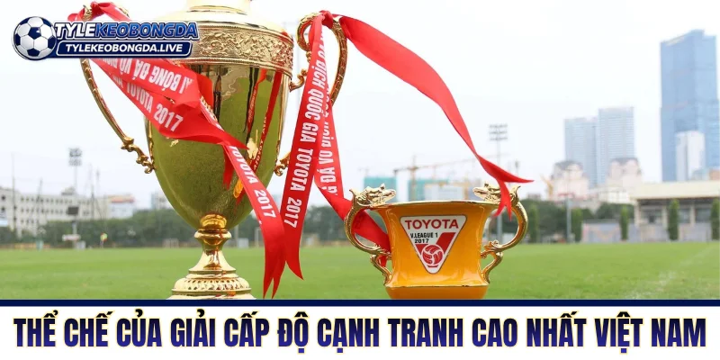 Thể chế của giải cấp độ cạnh tranh cao nhất Việt Nam