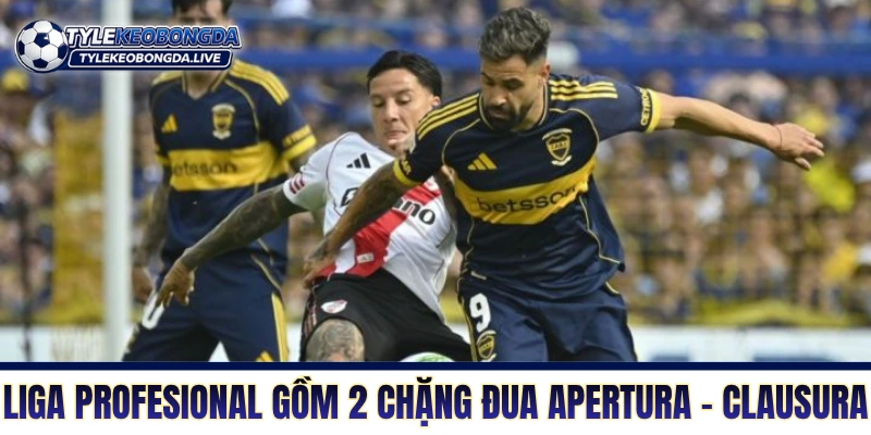 VĐQG Argentina - Lò Đào Tạo Máu Lửa Của Những Quái Kiệt 6 Liga Profesional gồm hai chặng đua Apertura - Clausura