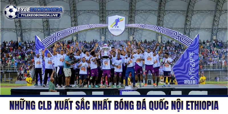 VĐQG Ethiopia - Sân Chơi Vắt Kiệt Phổi Ở Độ Cao 2000m! 8 Những CLB xuất sắc nhất bóng đá quốc nội Ethiopia