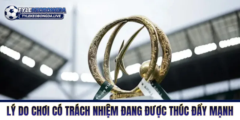 VĐQG Hàn Quốc là sân chơi của những chiến binh cần mẫn