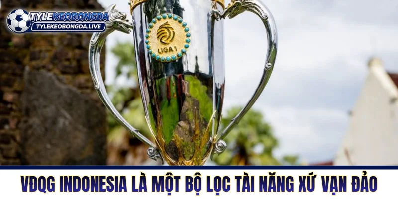 VĐQG Indonesia - “Cối Xay” Huấn Luyện Viên Và Ngoại Binh 5 VĐQG Indonesia là một bộ lọc tài năng xứ Vạn đảo
