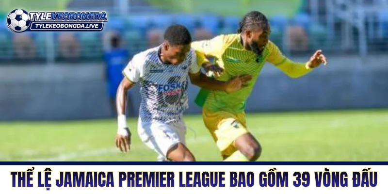 Thể lệ Jamaica Premier League bao gồm 39 vòng đấu
