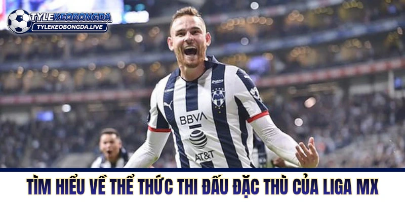 Tìm hiểu về thể thức thi đấu đặc thù của Liga MX