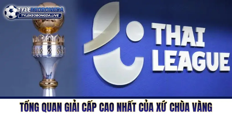 Tổng quan giải cấp cao nhất của đất nước xứ chùa vàng
